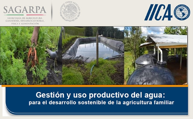 Gestión y uso productivo del agua: para el desarrollo sostenible de la agricultura familiar