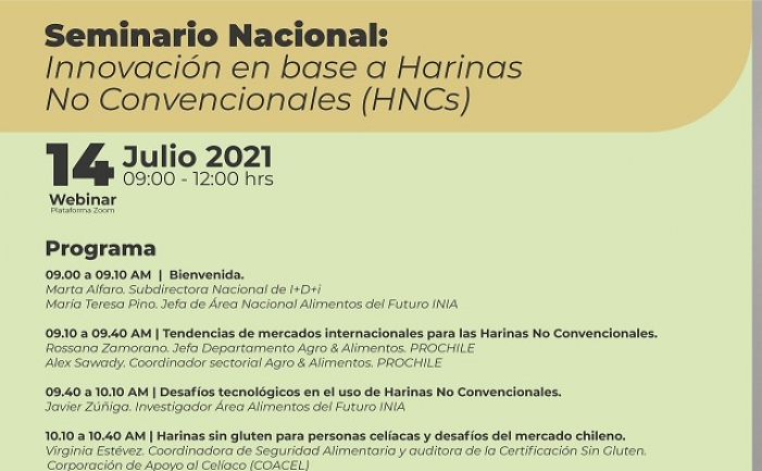 Seminario Innovación en base a Harinas No Convencionales (HNCs)