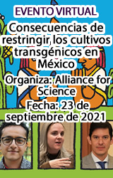 Consecuencias de restringir los cultivos transgénicos en México