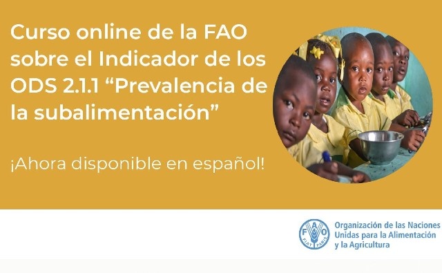 Curso: Indicador 2.1.1 de los ODS: Prevalencia de la subalimentación