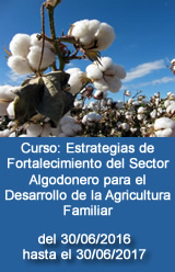  Curso: Estrategias de Fortalecimiento del Sector Algodonero para el Desarrollo de la Agricultura Familiar