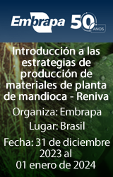Introducción a las estrategias de producción de materiales de planta de mandioca - Reniva 