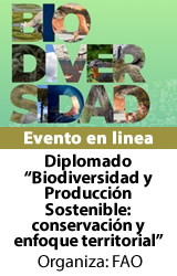 Diplomado “Biodiversidad y Producción Sostenible: conservación y enfoque territorial”