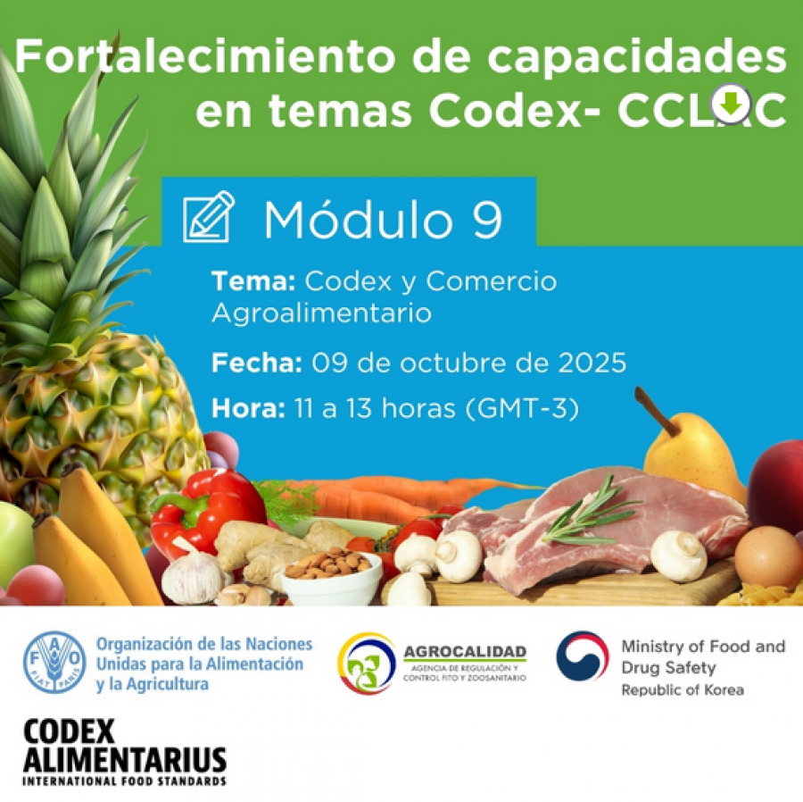 Fortalecimiento de capacidades en temas Codex