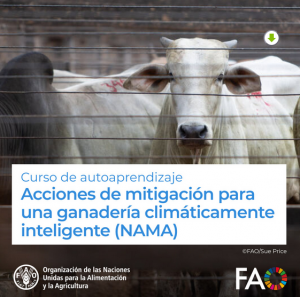 Acciones de mitigación para una ganadería climáticamente inteligente (NAMA)