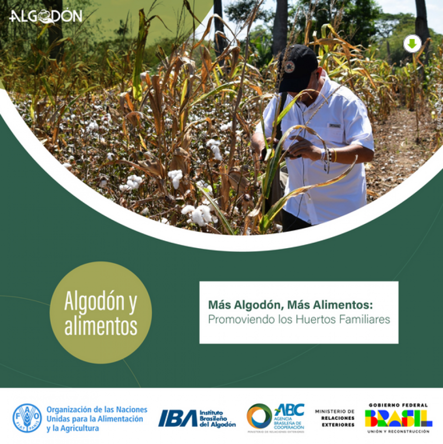 Más Algodón, Más Alimentos: Promoviendo los Huertos Familiares