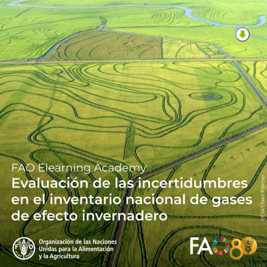 Evaluación de las incertidumbres en el inventario nacional de gases de efecto invernadero