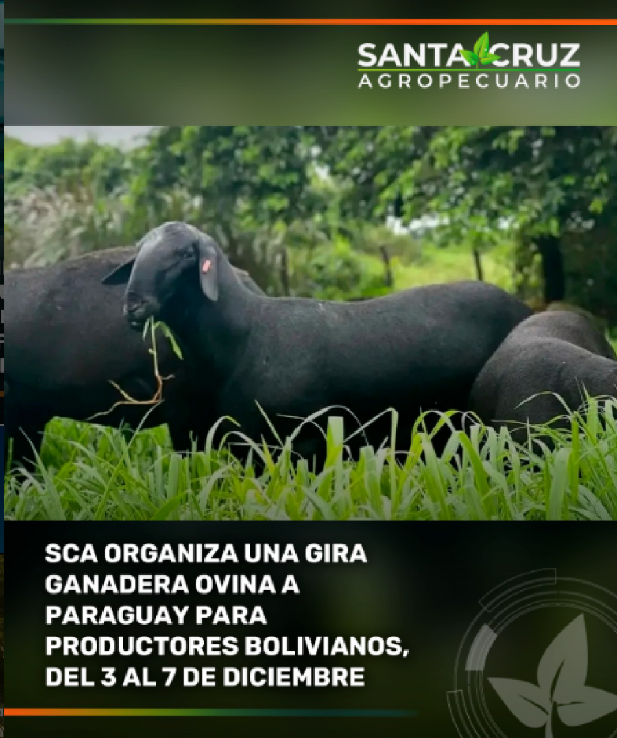 Gira Ganadera Ovina a Paraguay