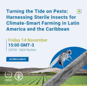 Cambiar el rumbo de las plagas: Aprovechamiento de insectos estériles para una agricultura climáticamente inteligente en América Latina y el Caribe