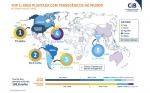 Brasil es responsable del 26 % del área plantada con transgénicos en el mundo, apunta estudio inédito