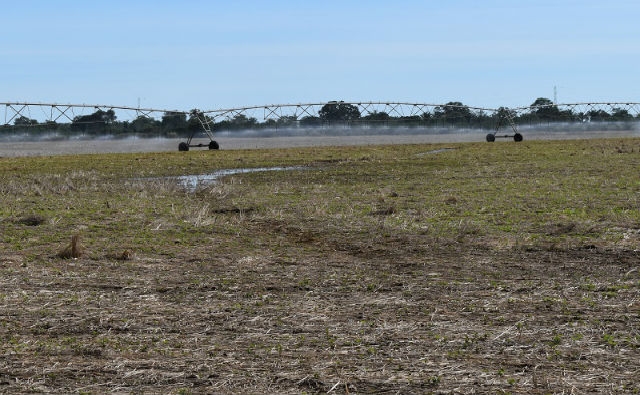 Bolivia duplica a 469.000 las hectáreas de cultivo bajo riego en 12 años