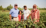 La berenjena transgénica Bt mejora la calidad de vida de agricultores en Bangladesh