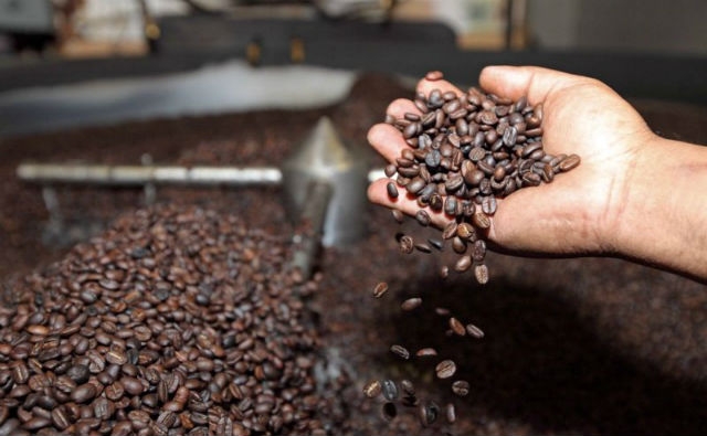 AgroAvances .:. Bolivia generó más de $us 7,5 millones por la exportación  de café el 2018