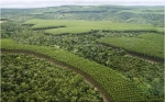  Concesiones forestales en bosques tropicales públicos: ¿héroes o villanos?
