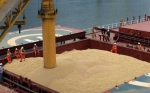 Brasil se encamina a logar la mayor exportación de soja de la historia
