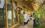 Escuela verde planta semillas por el planeta en Uruguay