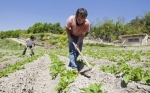 Investigan qué usos agrícolas del suelo ayudan a mitigar el cambio climático