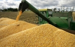 Productores de soya en Santa Cruz podrán asegurar sus cultivos