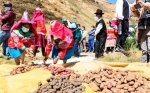 Perú analiza cerrar su mercado para algunos productos bolivianos