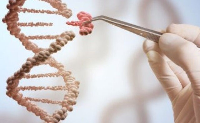 Patentes de genética vegetal compartidas con socios de investigación