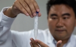 Los científicos chinos han encontrado una nueva forma de producir almidón en un laboratorio