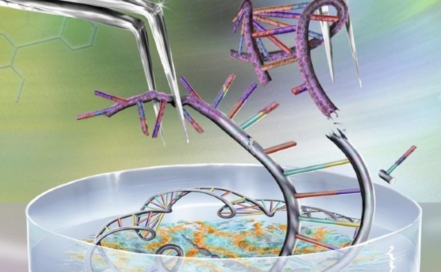 CRISPR crea un nuevo camino para la producción de antibióticos