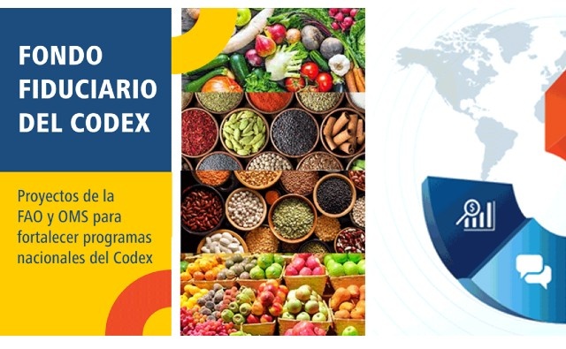 ¿Cómo funcionan los proyectos del Fondo Fiduciario del Codex Alimentarius en las Américas y qué países pueden formar parte?