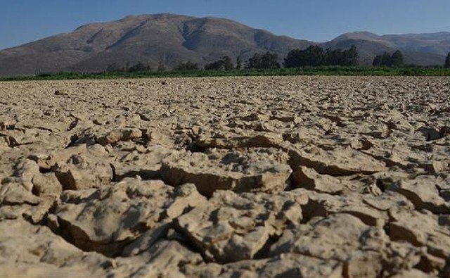 Agricultores de Bolivia piden transgénicos debido a sequías