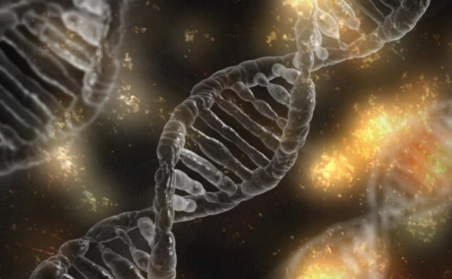 Prueba del impulsor genético CRISPR-Cas9 para la prevención de enfermedades ocasionadas por priones