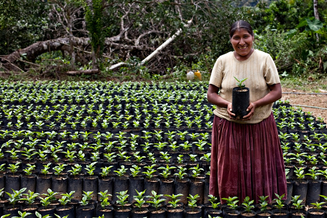 Banco Mundial apoyará a productores rurales bolivianos para incrementar la seguridad alimentaria y acceso a mercados  
