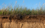 Cobertura de suelos y secuestro de carbono en paisajes agrícolas