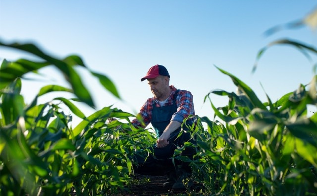 Los agricultores hablan a favor de los cultivos biotecnológicos