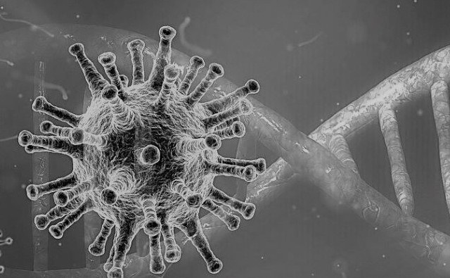 Los humanos son un 8 % de virus: cómo el antiguo ADN viral de nuestro genoma desempeña un papel en las enfermedades