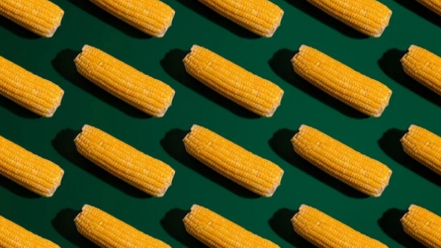Ciencia confirmará que maíz transgénico no es dañino para la salud humana: CNA