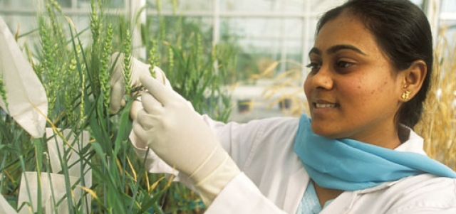 La FAO y la OMS resaltan el valor de la biotecnología para producir alimentos de forma segura y sostenible