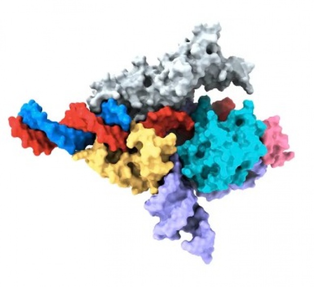 Un nuevo sistema similar a CRISPR podría revolucionar la edición del genoma