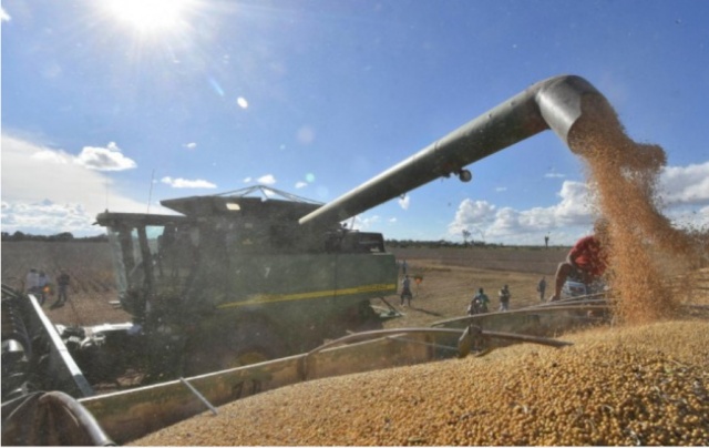 Bolivia: Semilla mejorada resistente a la sequía supera la primera evaluación