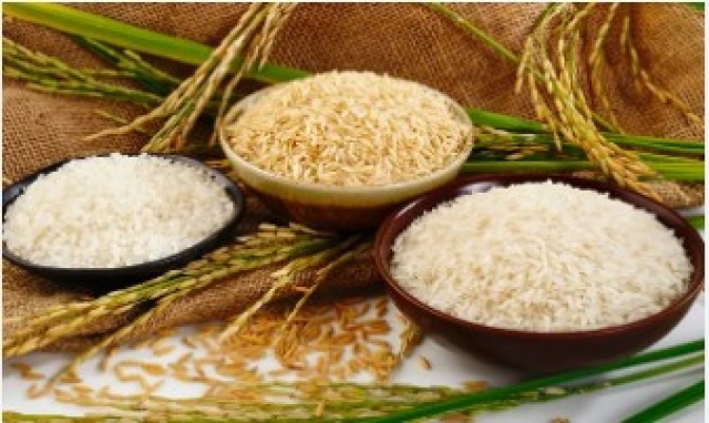 Investigadores de Suiza y Taiwán desarrollan un arroz biotecnológico biofortificado para combatir las deficiencias en vitamina B1