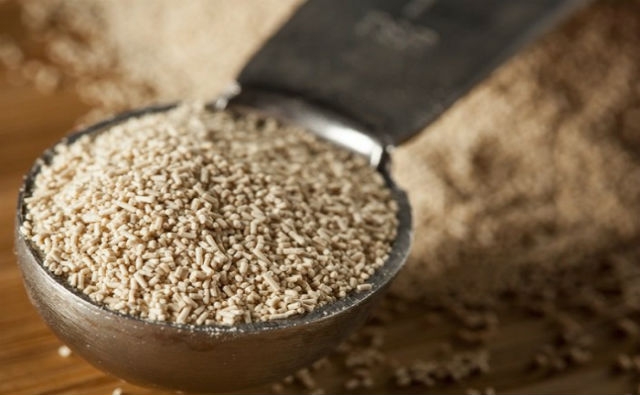 Gracias a la biotecnología logran cuadruplicar la oferta de levaduras de cerveza en Argentina
