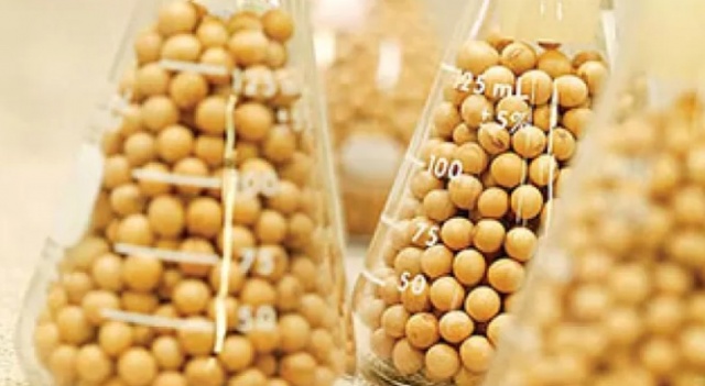 Bolivia: El Gobierno autoriza la importación de soya genéticamente modificada