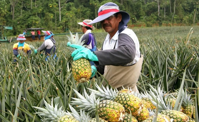 Costa Rica camina hacia un modelo agrícola de desarrollo sostenible