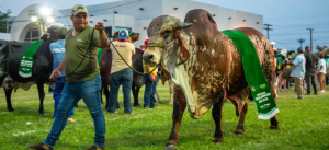 Bolivia: Al menos cinco países compraron genética bovina boliviana, reporta el sector pecuario Bolivia: Al menos cinco países compraron genética bovina boliviana, reporta el sector pecuario
