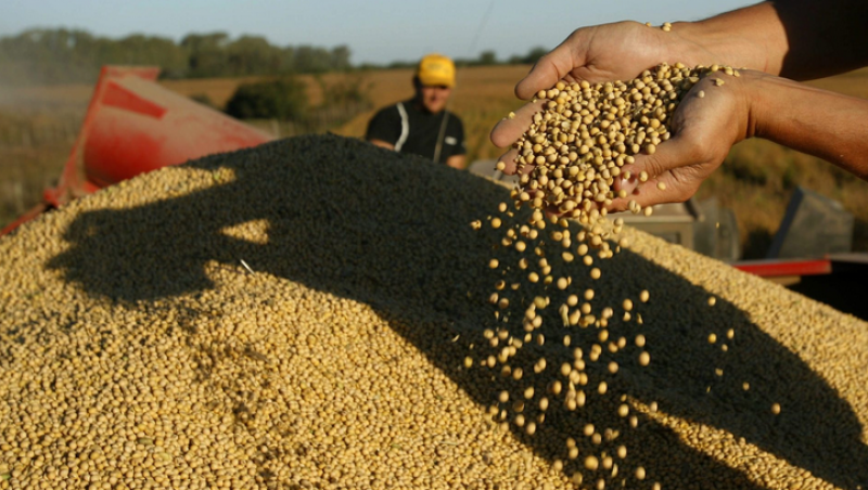 Soya cerró con leves bajas a la espera de paquete de ayuda para agricultores en EE.UU.