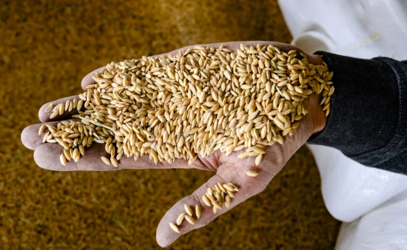 La agricultura suiza se reinventa ante el cambio climático
