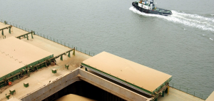 China compró soya a Estados Unidos tras 5 meses de tensión comercial: el precio del poroto sigue subiendo