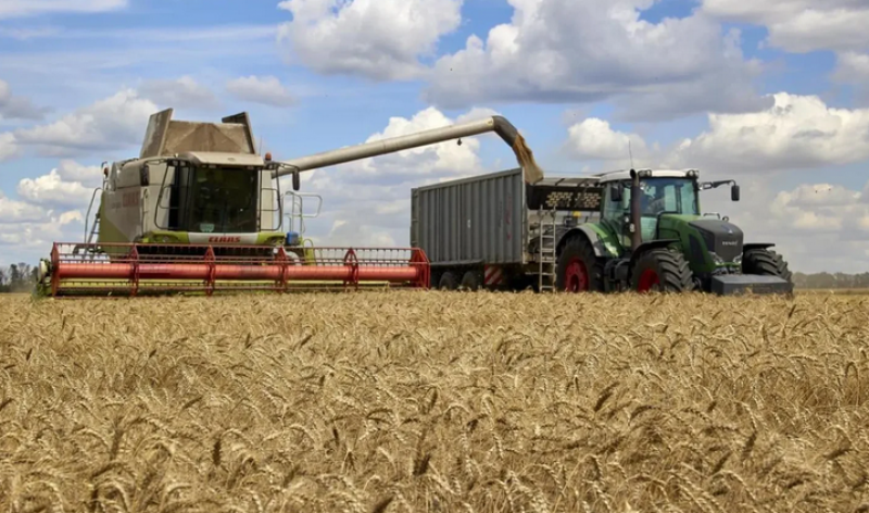 El conflicto en Irán dispara los precios de los cereales y amenaza con encarecer los fertilizantes y combustibles agrícolas El conflicto en Irán dispara los precios de los cereales y amenaza con encarecer los fertilizantes y combustibles agrícolas