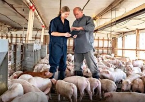 EEUU cambia de patrón cárnico: la carne de cerdo supera a la de res y redefine el mercado mundial