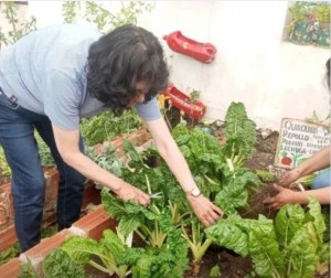Beni impulsa huertos familiares y proyectos agroecológicos para fortalecer la producción Beni impulsa huertos familiares y proyectos agroecológicos para fortalecer la producción