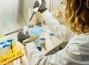 Argentina: Aprueban un nuevo marco regulatorio para microorganismos genéticamente modificados Argentina: Aprueban un nuevo marco regulatorio para microorganismos genéticamente modificados