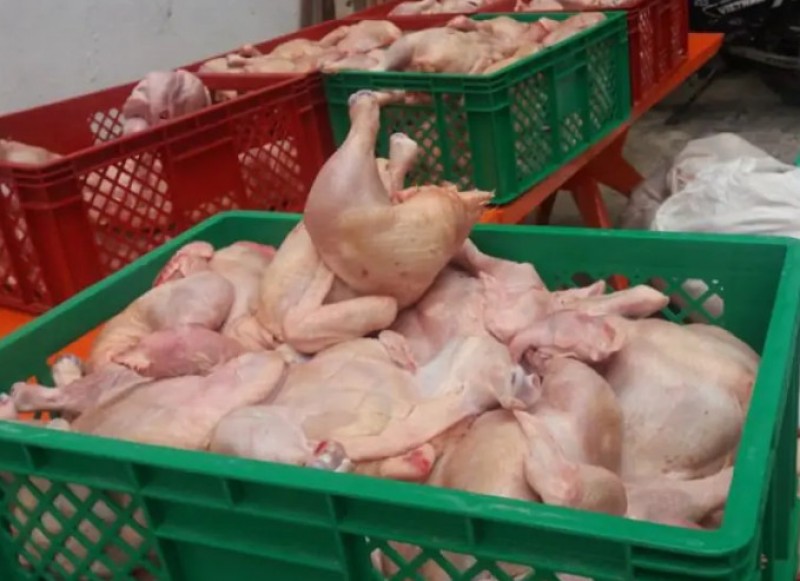 Santa Cruz: Pollo sube un 60% debido a una menor carga de reposición, según avicultores